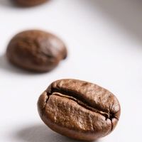 咖啡豆的风味与品质探讨