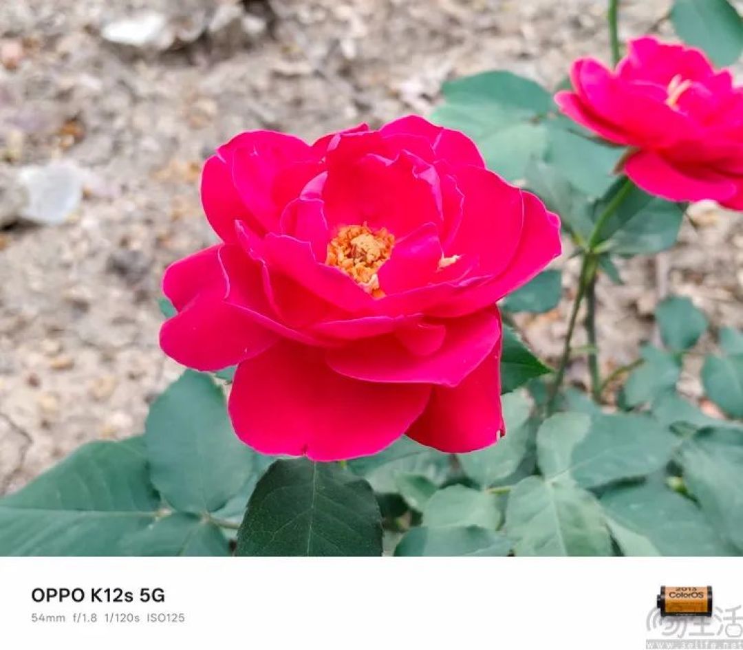 OPPO K12s首测:大电池长续航也能更时尚、更能打