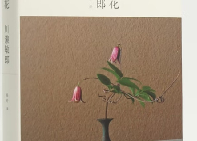 《一日一花》：插花艺术与禅意生活