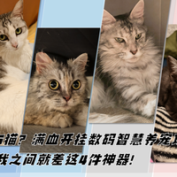 最新优惠
