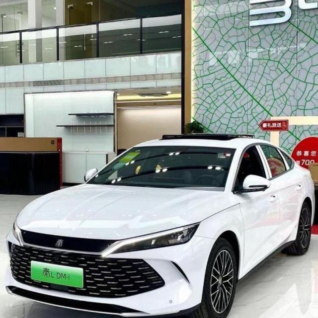 秦L998智驾版入手后的摸索熟悉历程1充电