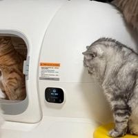 最新优惠