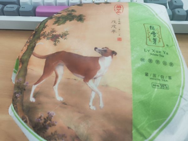 陈年白茶，肠胃动力大增？