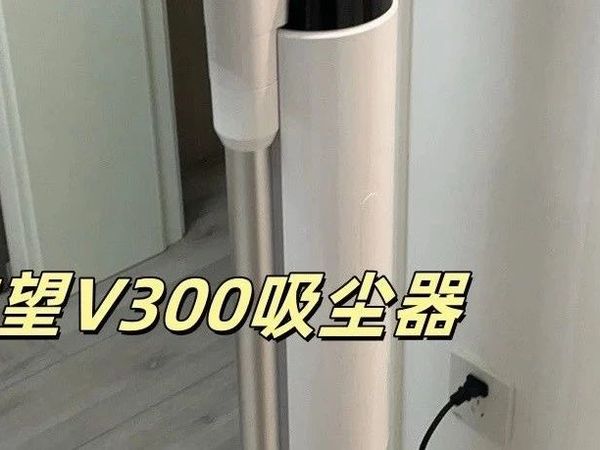 市场上有哪些品牌的手持式吸尘器是有自动切断头发的功能的？