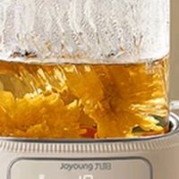 九阳（Joyoung）养生壶迷你玻璃花茶壶煮茶器 12大功能11档温度 