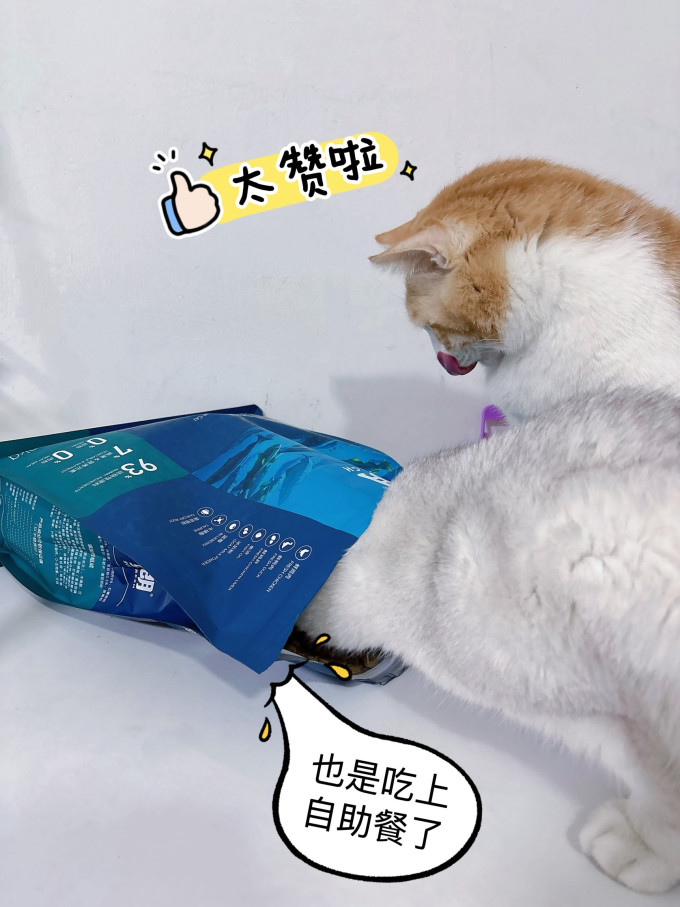 鲜朗猫咪干粮