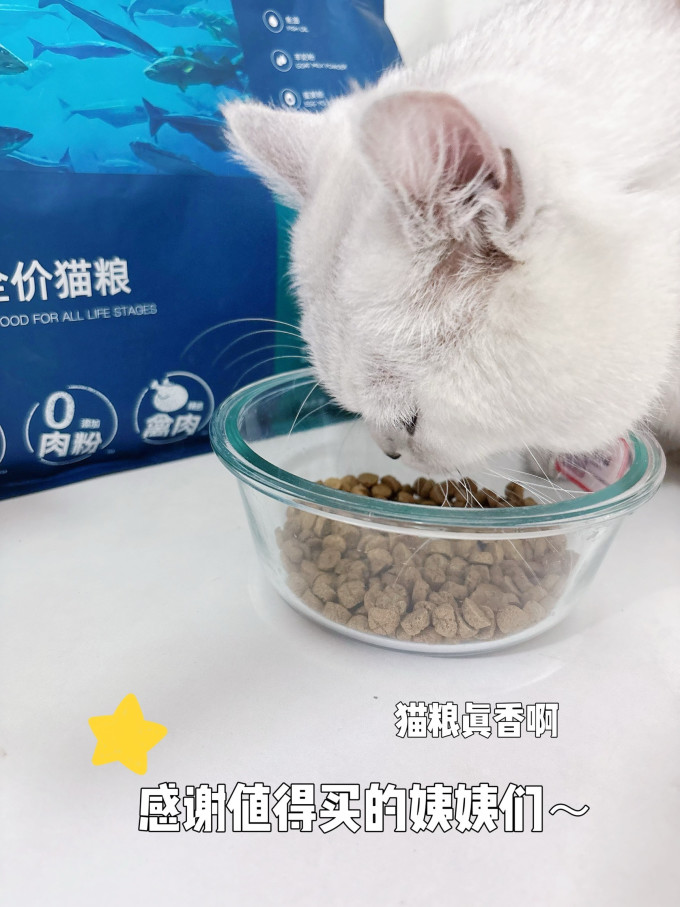 鲜朗猫咪干粮