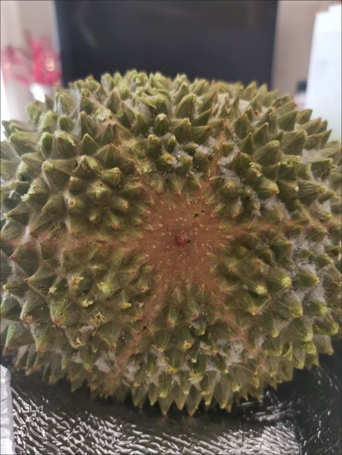 京鲜生榴莲