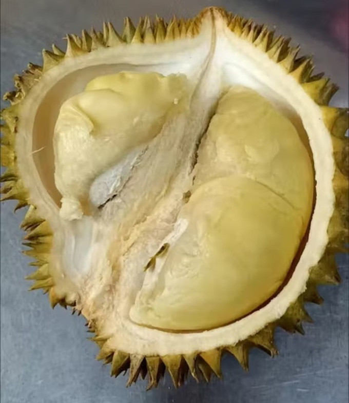 榴莲
