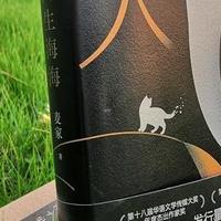 《人生海海》：在命运浪潮里，读懂活着的重量