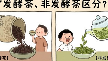 发酵茶与非发酵茶，你选对了吗？