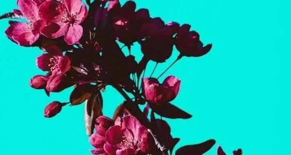 舞蹈训练装备深度解析：成人软底练功鞋与儿童弹力布舞鞋性能观察