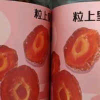 粒上皇半边梅408g 蜜饯果干果脯休闲零食梅子干酸甜办公室小零食