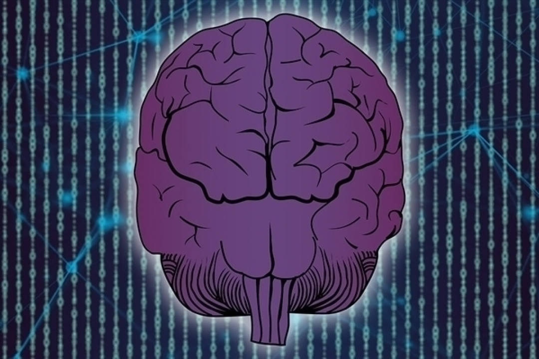 马斯克旗下Neuralink拟融资5亿美元:估值已达85亿美元