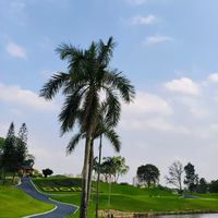 一人一个五一旅行地打卡推荐 四月的海南适宜玩耍