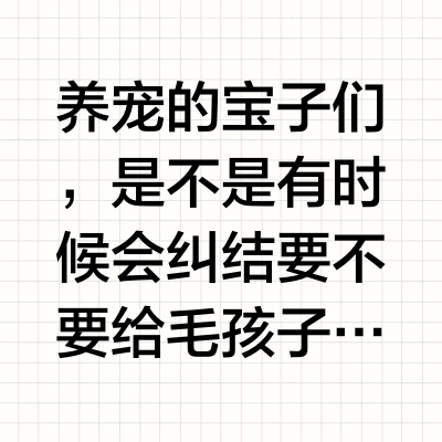 救命🆘 原来宠物玩具作用这么大！