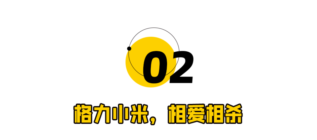 董明珠撕开了雷军的伤疤