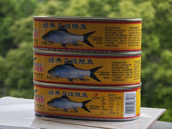 豆豉鲮鱼罐头是广州特产吗