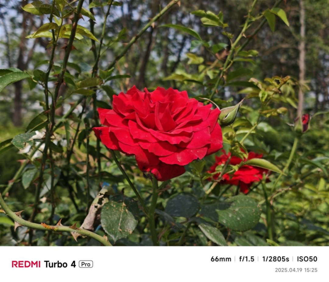 第四代骁龙8s+7550mAh巨无霸电池!REDMI Turbo 4 Pro评测:这才是2.5K档准旗舰