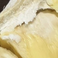 “满分榴莲标准”背后的品质与价格分析，是否物有所值？