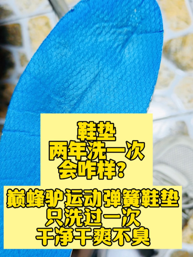 鞋垫两年洗一次会咋样？颠蜂驴PEBA运动弹簧鞋垫近两年只洗过一次