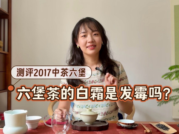 【茶叶测评】2017中茶六堡，泛的白霜是什么？