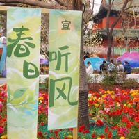 日坛公园艺术展带你邂逅花海、灯火与非遗之美