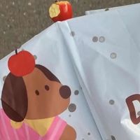 高颜值晴雨两用伞，学生党必入！