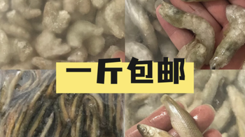 永恒水族新鲜冻虾鱼饲料：观赏鱼的极致美食盛宴