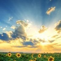 办公室神器？震旦AURORA皮椅体验如何？