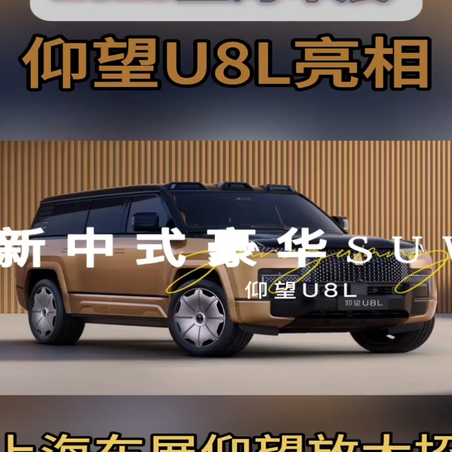 上海车展仰望放大招