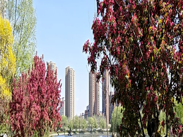 天气很好，户外跑步兜风。