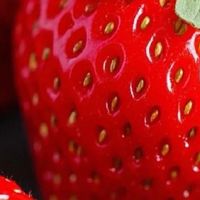 舌尖上的春日奇遇，樱桃、草莓、芒果的美味探索