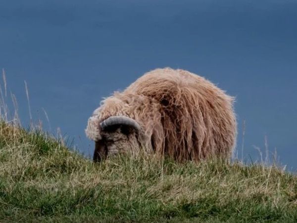 24年国庆11天10晚丹麦&法罗攻略（上） | 在北大西洋当岛民