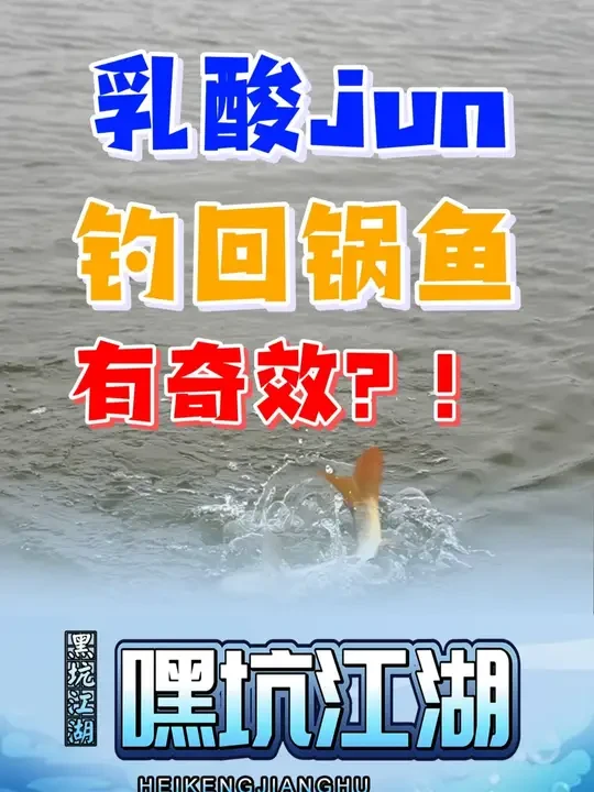 乳酸jun钓回锅鱼有奇效？ #钓鱼人就是这么疯狂 #原来钓鱼才是抖音运动顶流 #早春钓鱼少不了我 @怡隆官方旗舰店 @丸美享钓官方旗舰店 @800度钓具官方号 @景润鱼饵 @逸都钓鱼运动户外专卖店