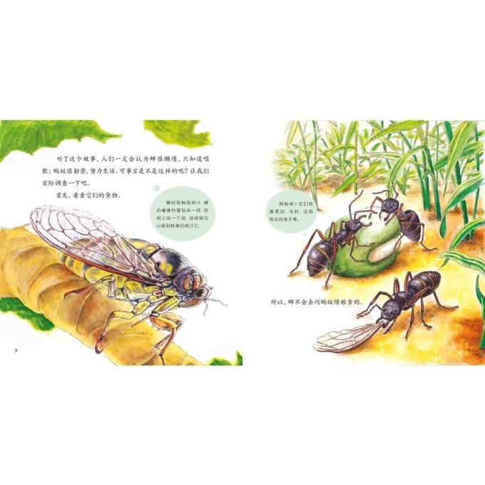晨光出版社中小学课外读物