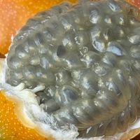 百香果不再酸到皱眉：哥伦比亚黄金热情果的「纯甜革命」