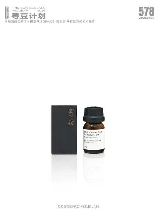 寻豆计划 | 白鲸咖啡 - 巴拿马 BOP-V08
