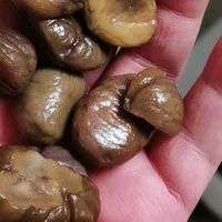 百草味熟制板栗仁，一口爱上的秋日限定美味