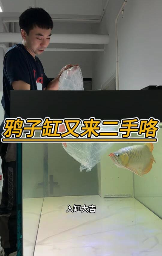 水鸦二手见过吗？198换198是什么操作