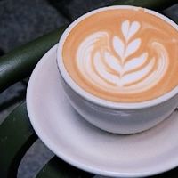 咖啡豆：这个穿越时空的黑色黄金