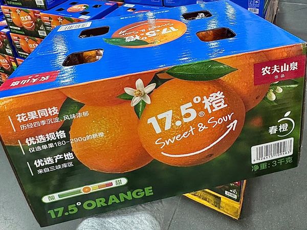  按箱囤的春橙！酸甜超清爽