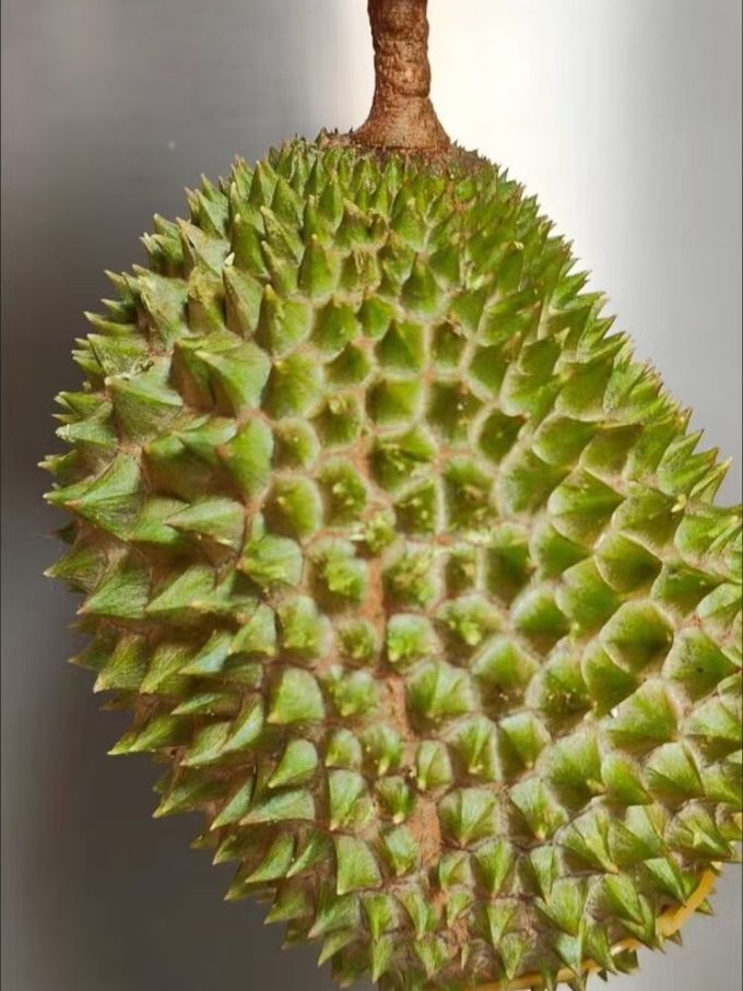 榴莲