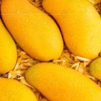 吃芒果正当季，教你如何挑选优质芒果？