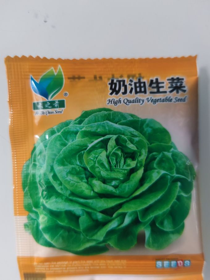 种子
