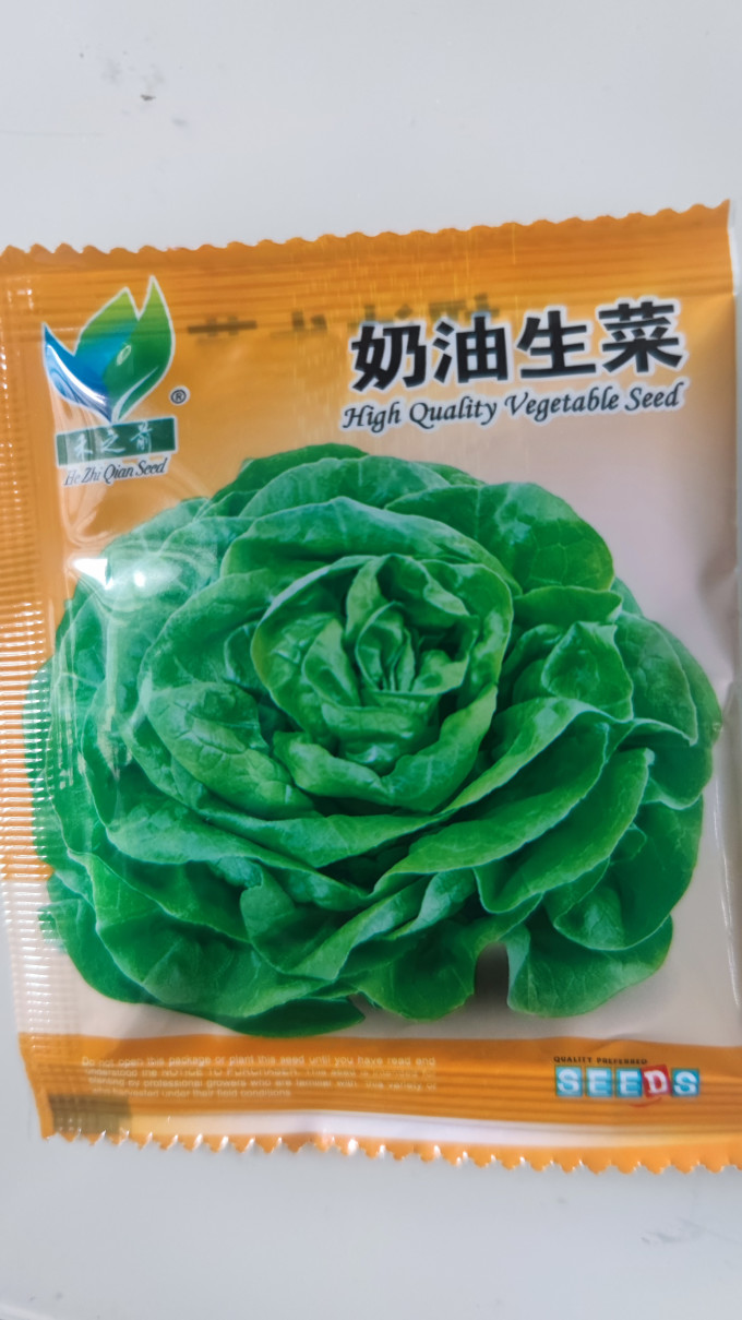 种子