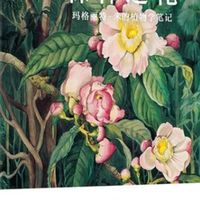 玛格丽特·米的亚马逊探险