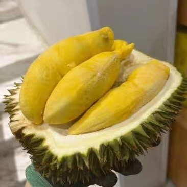 香气诱人的水果之王，我最爱的报恩榴莲