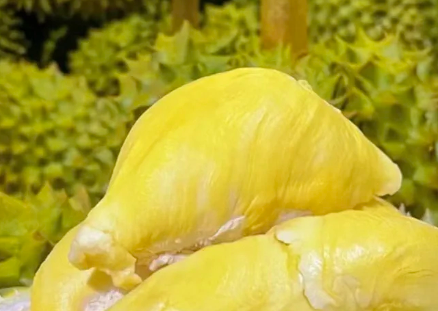 轻松挑榴莲，轻松享美味