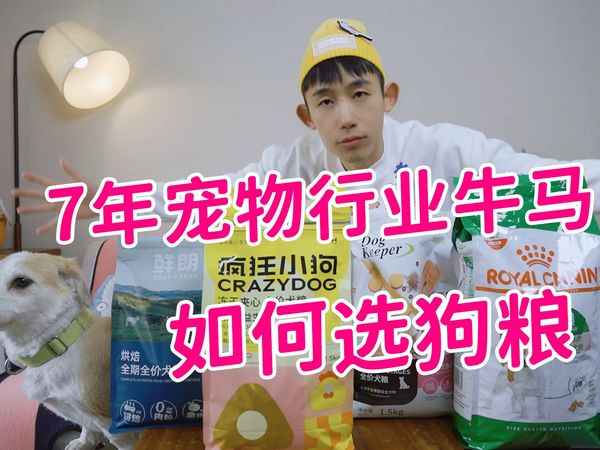 国产狗粮能不能吃?7年宠物行业牛马替你试吃
